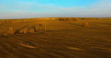UHD 4k havadan görünümü. Havada uçak sarı kırsal alanın üzerinde