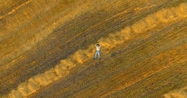 Flygfoto. Vertikal rörelse flygning över mannen liggande på gula vetefält — Stockvideo