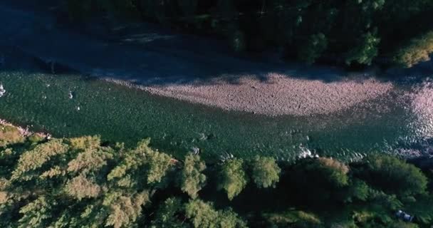 Środek lotu nad czystą górską rzeką w słoneczny letni poranek. Ruch pionowy — Wideo stockowe
