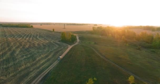 Widok z powietrza UHD 4K. Lot w powietrzu nad żółtym polem wiejskim i polną drogą — Wideo stockowe