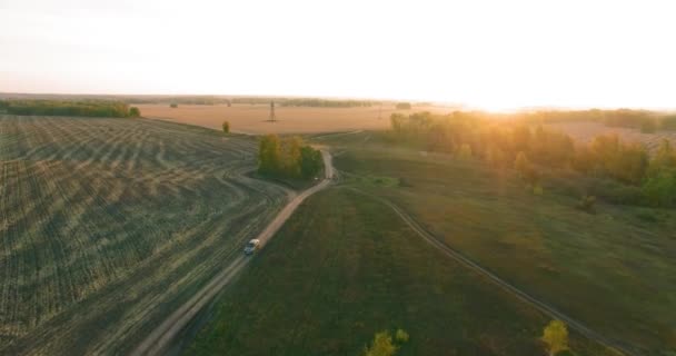 UHD 4K hava görüntüsü. Sarı kırsal alan ve toprak yol üzerinde orta-uçuş — Stok video