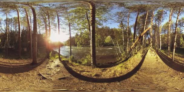 UHD 4K 360 VR Realidade Virtual de um rio flui sobre rochas em bela paisagem de floresta de montanha — Vídeo de Stock