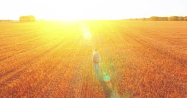 Bir büyük buğday tarlada yürüyen genç adam turist üzerinde düşük uçuş