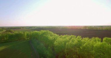 4 k hava manzara. Düşük uçuş yeşil ve sarı buğday kırsal alanın üzerine.