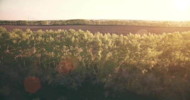 Vista aérea de 4k. Bajo vuelo sobre campo rural de trigo verde y amarillo . — Vídeos de Stock