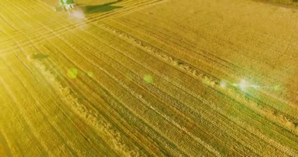 Uhd 4k Luftaufnahme. Tiefflug über Mähdrescher sammelt den Weizen auf gelbem Feld. — Stockvideo