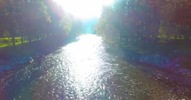 화창한 여름 아침에 신선 하 고 깨끗 한 산 강 중간 항공 — 비디오