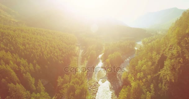 Volo a mezz'aria sul fiume fresco di montagna e prato al mattino d'estate soleggiato. Strada sterrata rurale sotto. — Video Stock