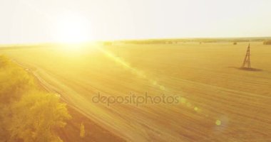 UHD 4K hava görüntüsü. Sarı kırsal alan ve toprak yol üzerinde orta-uçuş