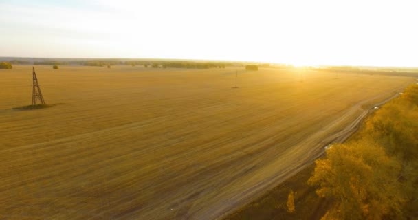 Letecký pohled UHD 4K. Vzdušný let nad žlutým venkovským polem a polní cestou — Stock video