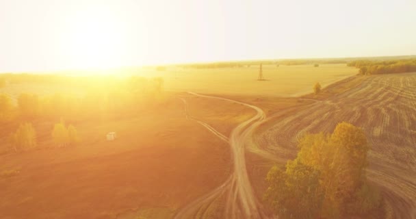 UHD 4K vanuit de lucht gezien. Midden-luchtvlucht over geel landelijk veld en onverharde weg — Stockvideo