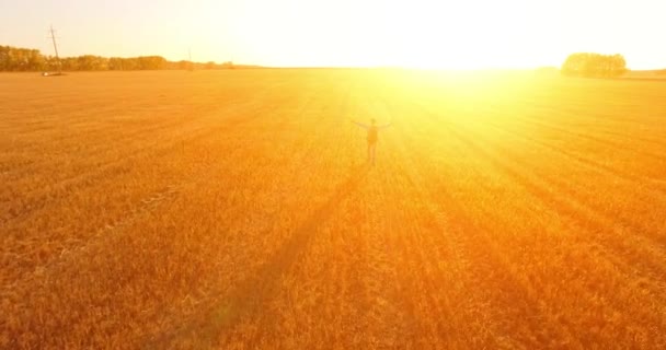 Lage vlucht over jongeman toeristische lopen over een groot tarweveld. Handen omhoog, winnaar, gelukkig en vrijheid concept. — Stockvideo