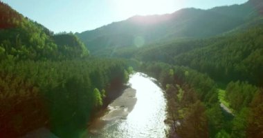 4 k Uhd havadan görünümü. Düşük uçuş üzerinde taze soğuk dağ nehir kıyısında güneşli yaz sabahı.