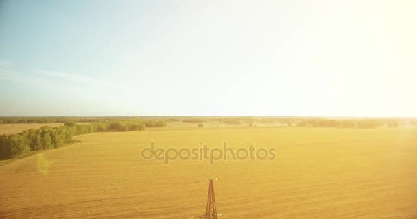 Vuelo de movimiento vertical cerca de la torre de alta tensión y líneas eléctricas en el campo verde y amarillo — Vídeos de Stock