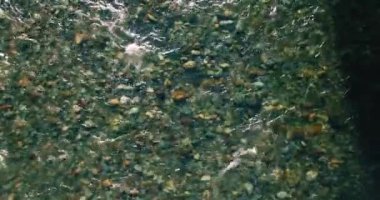 Güneşli yaz sabahında temiz ve taze bir dağ nehri üzerinde uçuşun ortasındayız. Üst görünüm ve yatay hareket