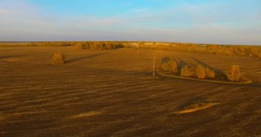 UHD 4k havadan görünümü. Havada uçak sarı kırsal alanın üzerinde