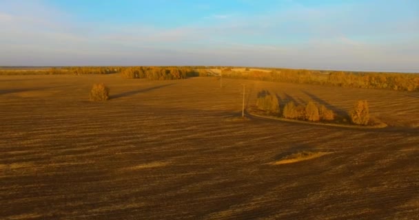 UHD 4K vista aérea. Vuelo en el aire sobre el campo rural amarillo — Vídeo de stock