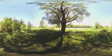 UHD 4K 360 VR Bir nehrin Sanal Gerçekliği güzel dağ ormanlarında kayaların üzerinden akıyor