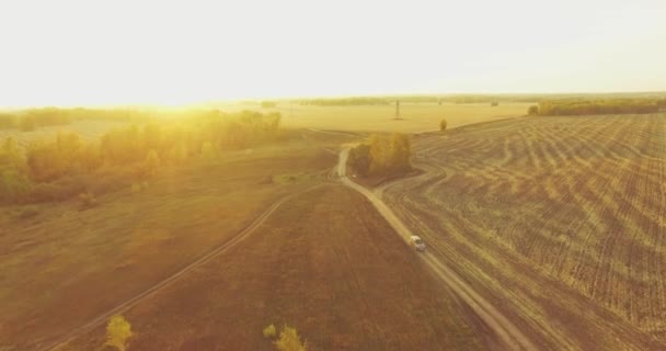 UHD 4K vista aérea. Vuelo en medio del aire sobre campo rural amarillo y camino de tierra — Vídeo de stock