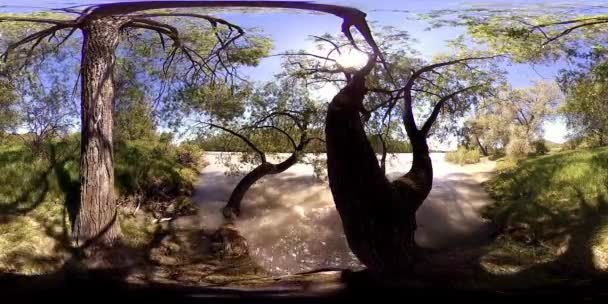 UHD 4K 360 VR La realidad virtual de un río fluye sobre rocas en un hermoso paisaje de bosque de montaña — Vídeo de stock