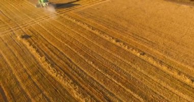 UHD 4k havadan görünümü. Düşük uçuş birleştirmek hasat toplar üzerinde sarı kırsal alan, buğday.