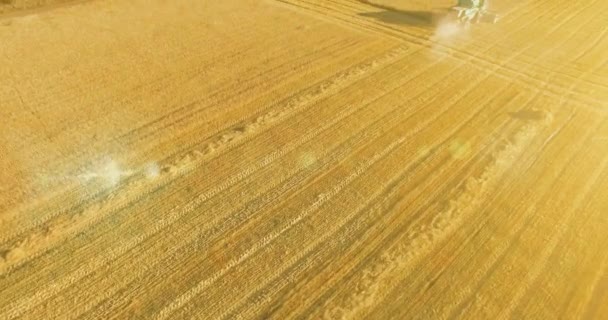 到 4k 的鸟瞰图。低飞行在联合收割机聚集在黄色的农村领域小麦. — 图库视频影像