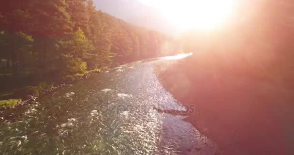 Volo in aria sul fiume di montagna fresco e pulito al soleggiato mattino d'estate — Video Stock