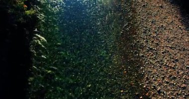 Havadan Uhd 4k görünümü. Taze dağ nehir üzerinde uçuş. Dikey yatay tilt hareketi olarak.