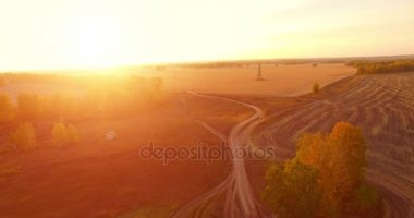 UHD 4K hava görüntüsü. Sarı kırsal alan ve toprak yol üzerinde orta-uçuş