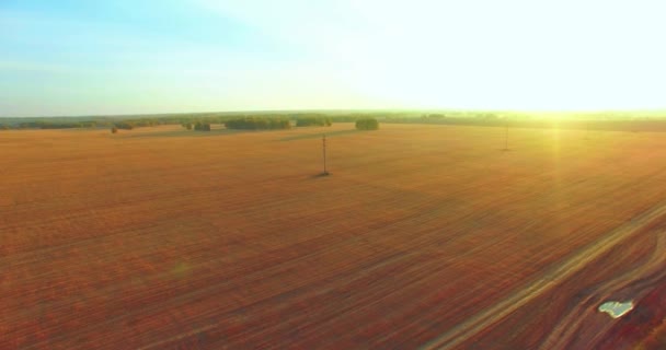 Vista aerea UHD 4K. Volo a mezz'aria sul campo rurale di grano giallo — Video Stock