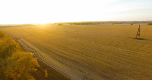 UHD 4K vanuit de lucht gezien. Midden-luchtvlucht over geel landelijk veld en onverharde weg — Stockvideo