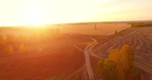 UHD 4K vanuit de lucht gezien. Midden-luchtvlucht over geel landelijk veld en onverharde weg — Stockvideo