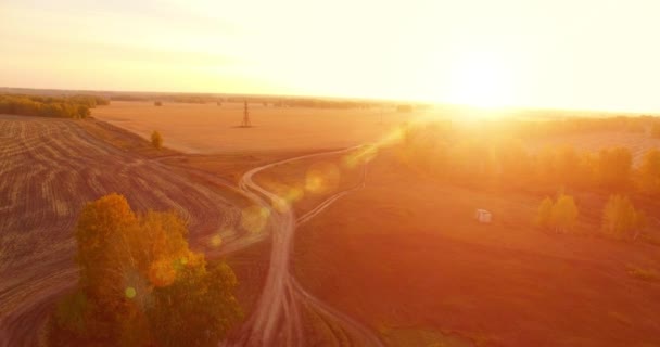 Vista aerea UHD 4K. Volo a mezz'aria su campo giallo rurale e strada sterrata — Video Stock