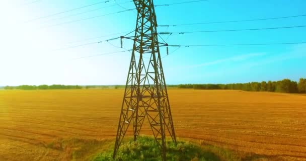 Vuelo de movimiento vertical cerca de la torre de alta tensión y líneas eléctricas en el campo verde y amarillo — Vídeos de Stock