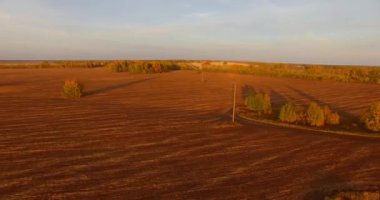 UHD 4k havadan görünümü. Havada uçak sarı kırsal alanın üzerinde