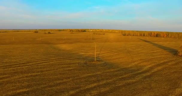 UHD 4k havadan görünümü. Havada uçak sarı kırsal alanın üzerinde — Stok video