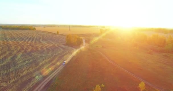 UHD 4K vista aérea. Vuelo en medio del aire sobre campo rural amarillo y camino de tierra — Vídeos de Stock