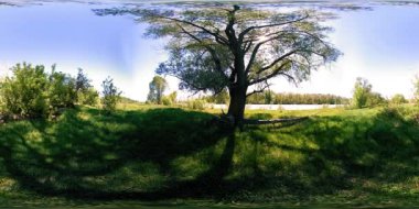 UHD 4K 360 VR Bir nehrin Sanal Gerçekliği güzel dağ ormanlarında kayaların üzerinden akıyor