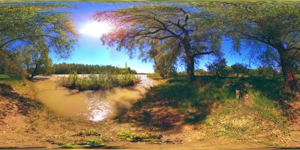 UHD 4K 360 VR La réalité virtuelle d'une rivière coule sur des rochers dans un magnifique paysage de forêt de montagne — Video