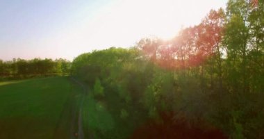 4 k hava manzara. Düşük uçuş yeşil ve sarı buğday kırsal alanın üzerine.