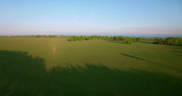 Pandangan udara 4k. Penerbangan rendah di atas ladang gandum hijau dan kuning . — Stok Video