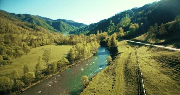 Volo a mezz'aria sul fiume fresco di montagna e prato al soleggiato mattino d'estate. Strada sterrata rurale sotto . — Video Stock
