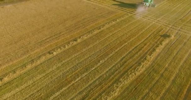 Uhd 4k légifelvételek. Alacsony repülés során össze harvester összeszed a búza sárga vidéki területen. — Stock videók