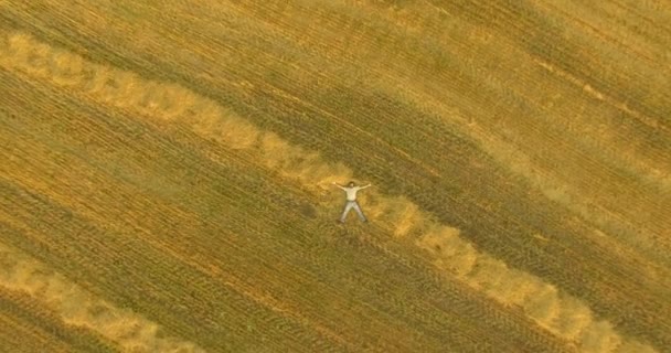 Letecký pohled. Vertikální pohyb letu nad muž leží na žluté pšeničné pole — Stock video