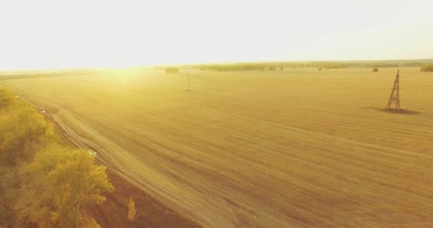 UHD 4K vue aérienne. Vol en vol au-dessus d'un champ rural jaune et d'un chemin de terre — Video