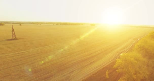 UHD 4K vista aérea. Vuelo en medio del aire sobre campo rural amarillo y camino de tierra — Vídeo de stock