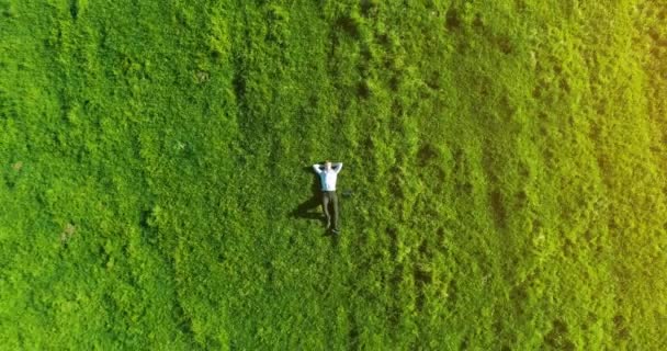 Vertikalflug über Geschäftsmann, der auf frischer grüner Wiese liegt. Blick von oben auf entspannten Mann. — Stockvideo