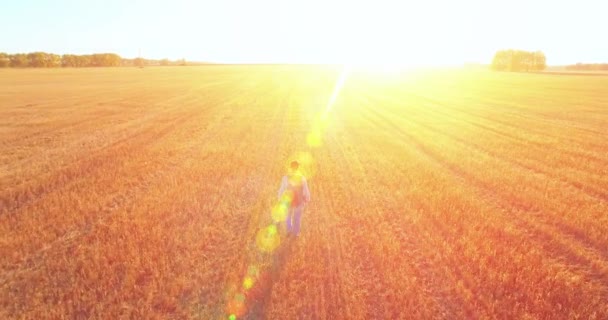 Bajo vuelo sobre joven turista caminando a través de un enorme campo de trigo — Vídeos de Stock