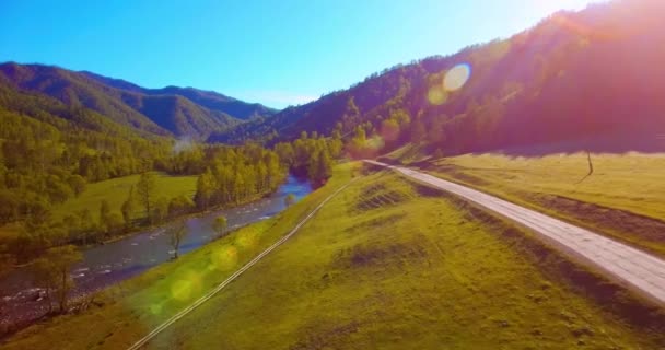 真夏の朝、新鮮な山の川や牧草地を上空で空中飛行します。下の未舗装道路. — ストック動画
