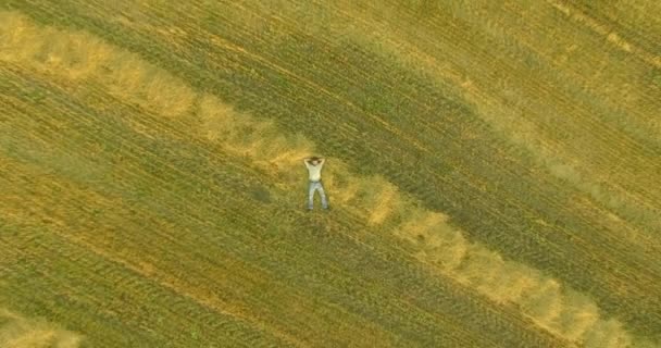 Вид с воздуха. Вертикальный полет над человеком, лежащим на желтом пшеничном поле — стоковое видео